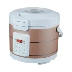 Auto 12V/24V 3L mitmeotstarbeline riisikeetja