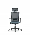 Ergonoomiline hall FLEXISPOT BS3 kontoritool, reguleeritav ja v&otilde;rkkattega
