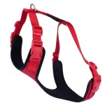 Koera rihmad, pehme voodriga, XL (65&ndash;75 cm), punased