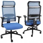 Kontoritool Ergofix, ergonoomiline, v&otilde;rguga, sinine