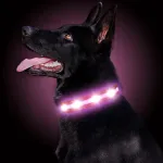 Veekindel roosa USB-laetav LED-valgustusega koera kaelarihm