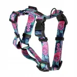 Koera rakmed Dolina Noteci Guard Classic Floral Corner, suurus M