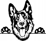 Kleebis autole v&otilde;i mootorrattale &bdquo;German Shepherd&ldquo;, 21 x 23,4 cm