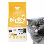 Bitesy kuiv kassitoit kuseteede probleemide vastu, 15 kg