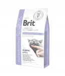 Veterinaarsed kassitoidud Brit GF Gastrointestinal, 2 x 2 kg