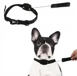 Kaelarihm integreeritud automaatse rihmaga Lucky Leash