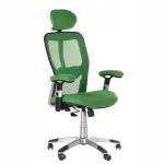 Ergonoomiline kontoritool CorpoComfort BX-4147, roheline