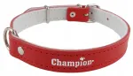 Champion nahast punane koera kaelarihm, 60 x 2,5 cm