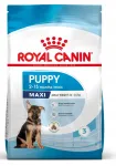 Kuiv koeratoit ROYAL CANIN Maxi Puppy suurte t&otilde;ugude kutsikatele, 4 kg