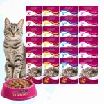 SUPER BENEK m&auml;rg kassitoit, erinevad maitsed, 24 x 100 g