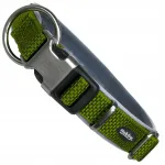Koera kaelarihm Classic Royal Preno XS, 15/20 mm, 28-34 cm, oliivroheline