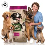 Kuivtoit koertele LEG DOGS lambalihaga, palju liha, 9 kg