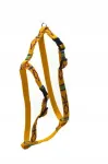 Alizoo Indian koerte rakmed, 20 mm, kollane, 41&ndash;67 cm