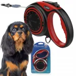 Automaatne koera rihm DOGNESS, 4 m, kuni 20 kg, suurus M