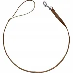 Koera rihm Hunter London, 20 mm x 100 cm, pruun
