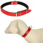 Punane nahast koera kaelarihm, 35&ndash;45 cm, 18 mm