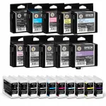 Epson SureColor SC-P700 tindikassetid, 10 tk, T46S1&ndash;T46S5