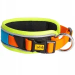 Koerte kaelarihm Dingo Active Sydney, reguleeritav, 45-55 cm, oranž-sinine, L