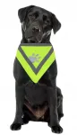 Peegeldav bandana koertele, kael &uuml;mberm&otilde;&otilde;t 30&ndash;40 cm, neoonkleebisega