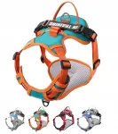 Reguleeritavad PREMIUM koera rakmed, r&otilde;huvabad, 18&ndash;30 kg, L, oranž-t&uuml;rkiissinine