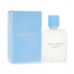 Meeste parf&uuml;&uuml;mvesi Dolce & Gabbana Light Blue Pour Homme 100 ml