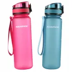 Aquaphor City 0,5 l veepudelite komplekt, sinine ja roosa, filtritega