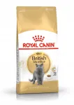 Royal Canin British Shorthair kuivtoit kassidele, 4 kg