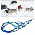 Koera rakmed Husky, helkuritega, jooksuks ja veoks, sinised, suurus M