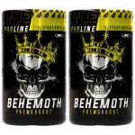 Enne treeningut toidulisand Real Pharm Behemoth, 2 x 500 g