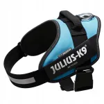 Koera rakmed Julius K9 IDC Power, suurus 1, 63&ndash;85 cm, rohekassinine