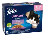 Felix Fantastic Junior niiske kassitoit, 12 x 85 g