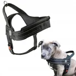 Koera rakmed TRE PONTI buldogidele, suurus L, 60-75 cm, mustad, helkuritega