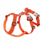 Koerte rakmed Winhyepet Escape Classic, suurus M