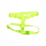 Helkuriga koera rihm ja rakmed, L, 1,2 m, 38&ndash;60 cm, roheline