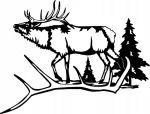 Auto kleebis taustata &bdquo;DEER&ldquo; hirvega, jahimotiiv, 20 x 26,2 cm