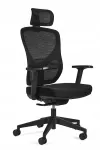 Ergonoomiline must kontoritool MASTER