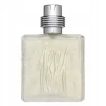Meeste tualettvesi Cerruti 1881 EDT 100 ml