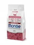 Monge Kitten kassitoit veiseliha sisaldusega, 1,5 kg