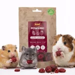 Powerki Forest Treasures k&uuml;lmkuivatatud metsamarjad n&auml;rilistele, 20 g
