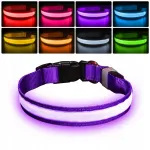 Helendav koera kaelarihm PHILOLET, USB, 50-60 cm, violetne