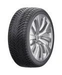 Auto rehv Fortune 205/55R16 94V FSR-401 XL EV