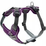 Koera rakmed Hunter DIVO, lillakas-hallid, L/XL suurus