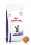Royal Canin Dental kuivtoit kassidele, 1,5 kg