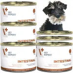 VET EXPERT INTESTINAL koeratoit, 6 x 200 g, seedimise h&auml;irete korral