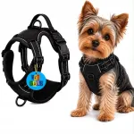 Loomade rakmed PetGang GUARD, mustad, suurus S, 33-60 cm