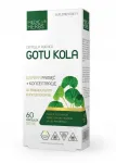 Toidulisand aju vereringele MEDICA Gotu kola