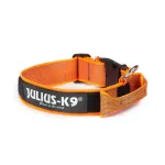 Koera kaelarihm Julius K9, oranž, sangaga, 40 mm