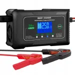 Litsiumakude laadija P25, 25 A, Lifepo4, 12 V / 24 V