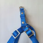 Reguleeritavad koera jalutusrihma rihmad, 60 cm