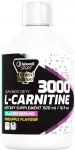 Toidulisand Laborell Sport L-Carnitine 3000 500 ml
